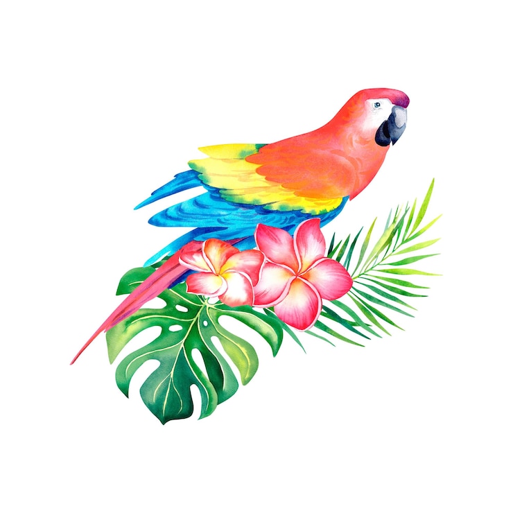 Foto macaw parrot in the tropical jungle monstera palm branch plumeria tropical composition watercolor illustration on an isolated background