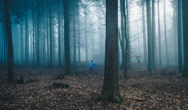Man standing amidst trees in forest during foggy weather