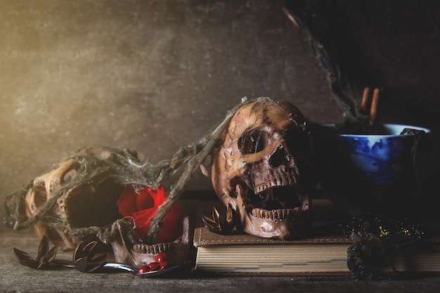 old skull death in dark room, still life photography 