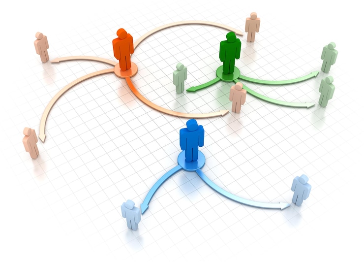 Bild organisation