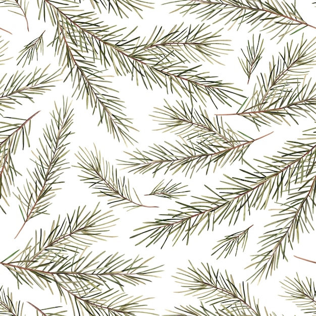 Pattern of fir branches Christmas watercolor botanical illustration hand drawn on a white background Drawing for Christmas and New Year holidays invitations cards wrapping paper decorations