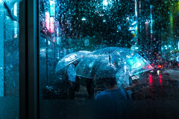People with umbrella in city during rainy season