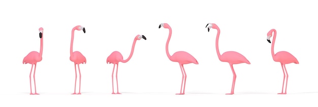 Pink flamingos on white background 3D rendering