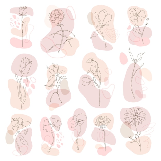 Png flower hand drawn set feminine single line art