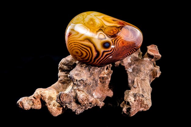 Polished Agate Stone Resting on Driftwood Sculpture