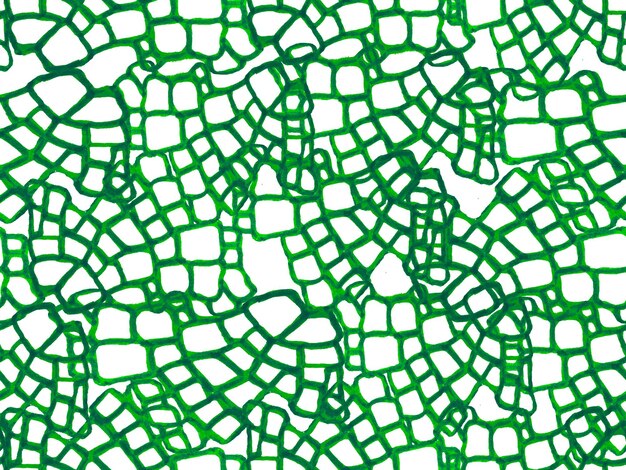 Predator Animal Skin Print. Dragon Skin Imitation. Alligator Closeup Background. African Leather Illustration. Crocodile Seamless Pattern. Hand Drawn Crocodile Pattern. Green and Aqua Menthe