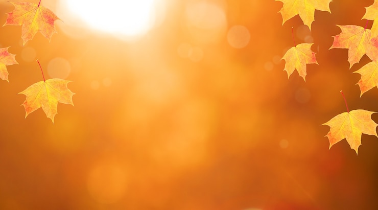 Bild red-orange maple leaves frame of autumn nature background with bokeh in the forest