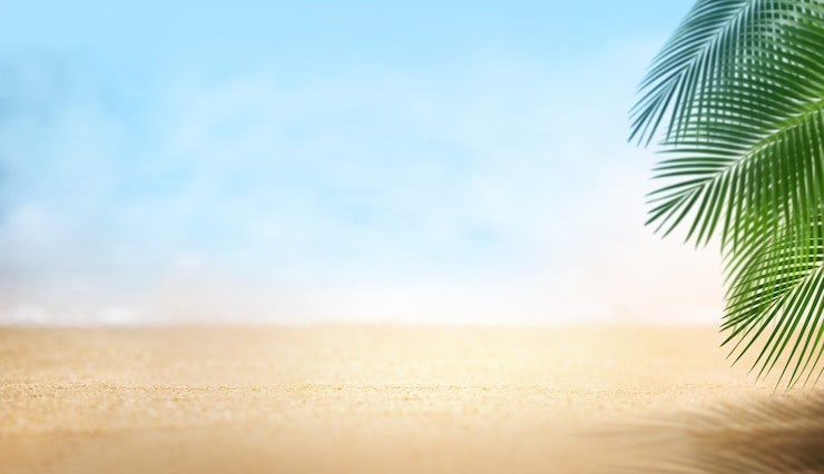 Bild sand beach beautiful with palm leaves, summer on the beach concept, empty background