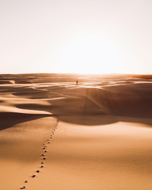 scenic view of desert against clear sky