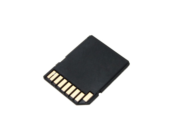 SD memory card isolate on a white background