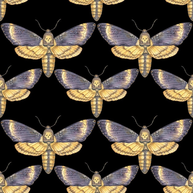 Seamless watercolor pattern featuring deathshead hawkmoth butterflies