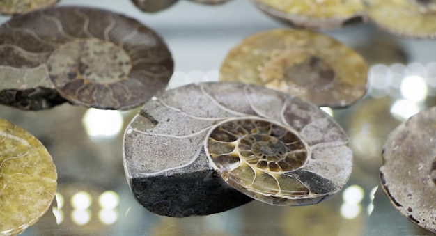 Set of natural mineral gemstones