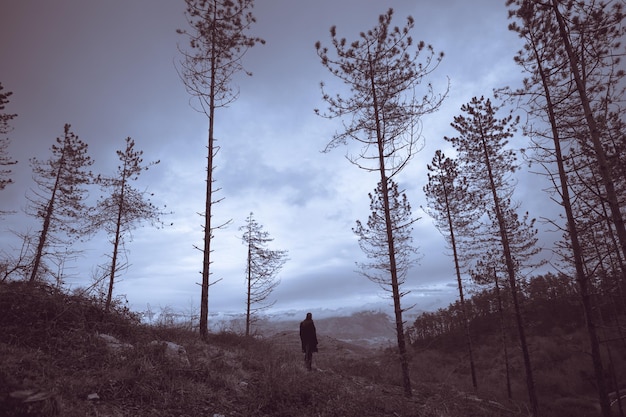 Silhouette man standing amidst trees in forest against sky