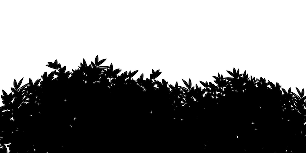 Silhouette tree leaves abstract background Natural pattern and copy space or empty