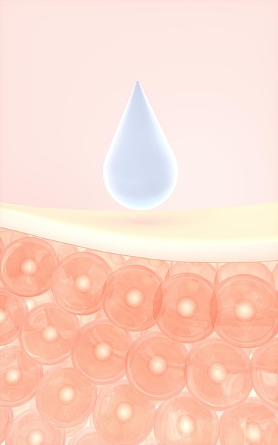 Skin cells absorb the serum 3d rendering