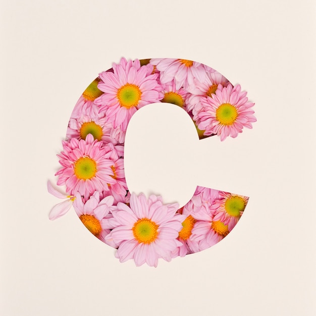 Skriftdesign, Abstrakt alfabet skrifttype med pink blomst, realistisk blomstertypografi - C