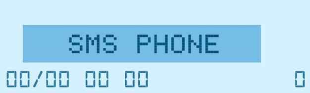 SMS Phone Number Input