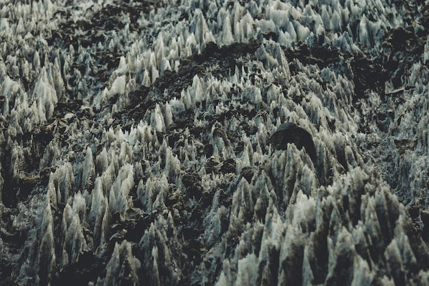 snow covered field