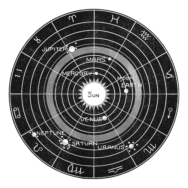 solar biology png sticker vintage drawing artwork transparent background