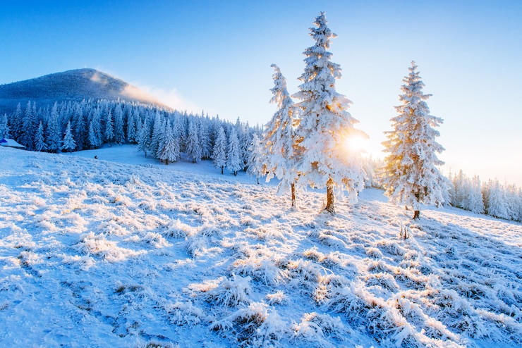 Bild sunny winter landscape