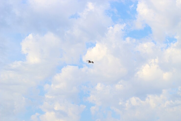 Bild texture sky clouds cirrus blue.