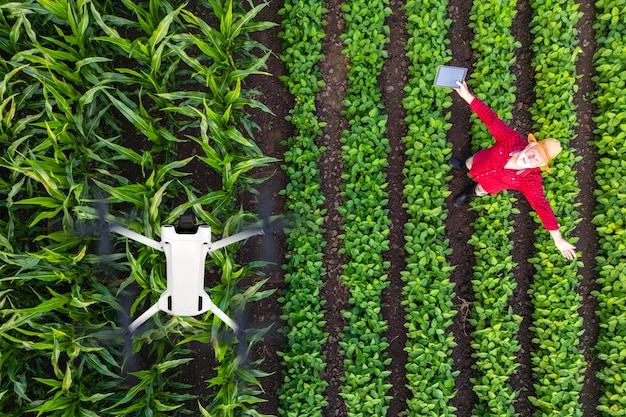 Top view af landmand, der står på marken og flyver med en landbrugsdrone for at overvåge afgrødernes vækst