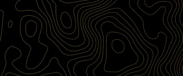 Topographic line contour map background geographic grid map