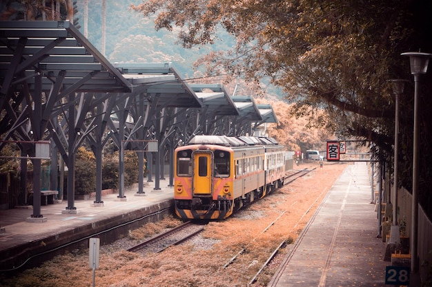 train on railroad track