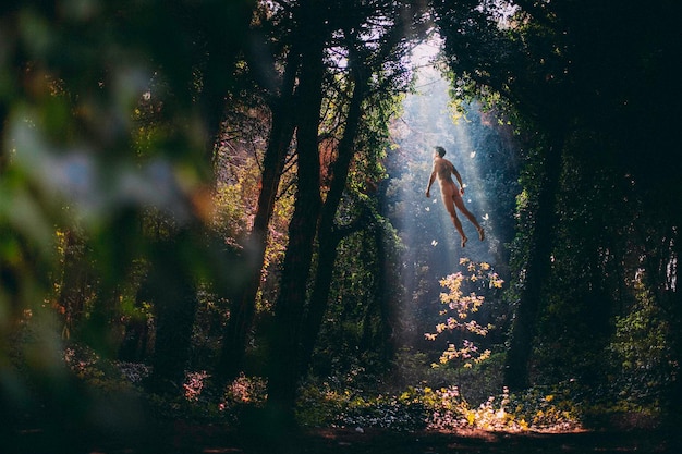 trees growing in forest and i fly away