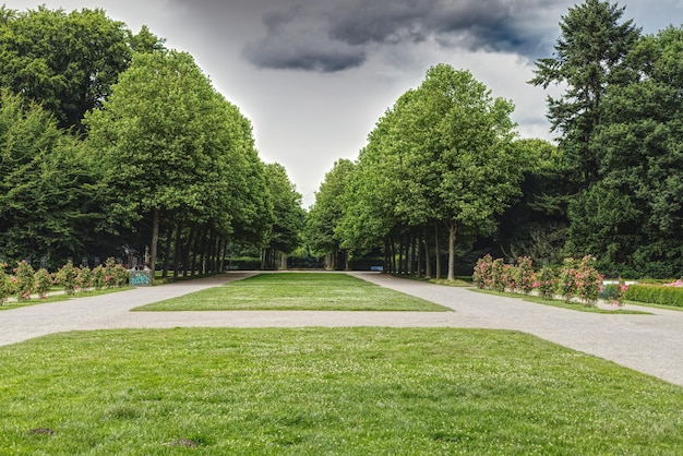 Trees in park against sky