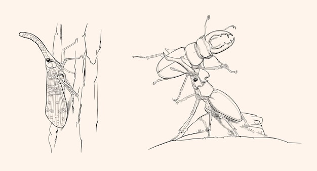 various insects