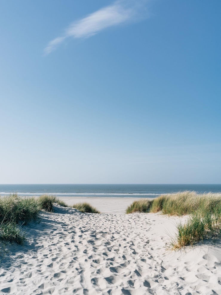 Bild vertical shot of white sandy beach with seascape under blue sky