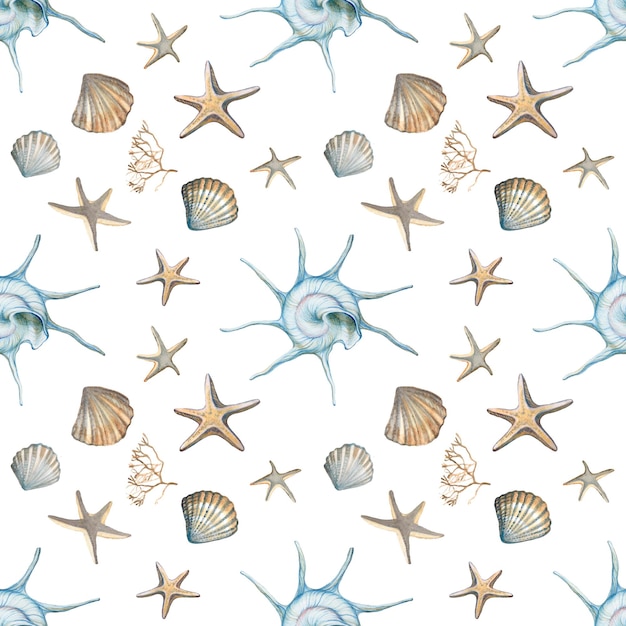 Watercolor summer patternBeach watercolor elementsSea printTropic objectsseastarsseashellsalgae