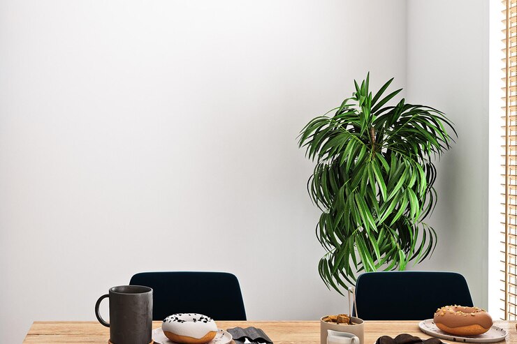 Bild white background interior with green plant