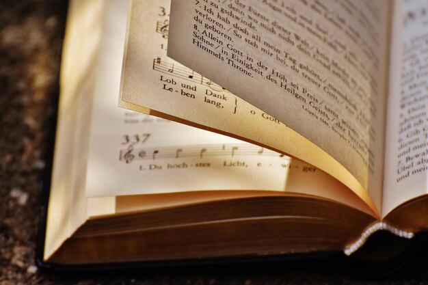 White Book Photo