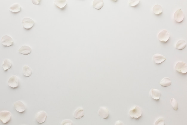 White rose petals frame with copy space