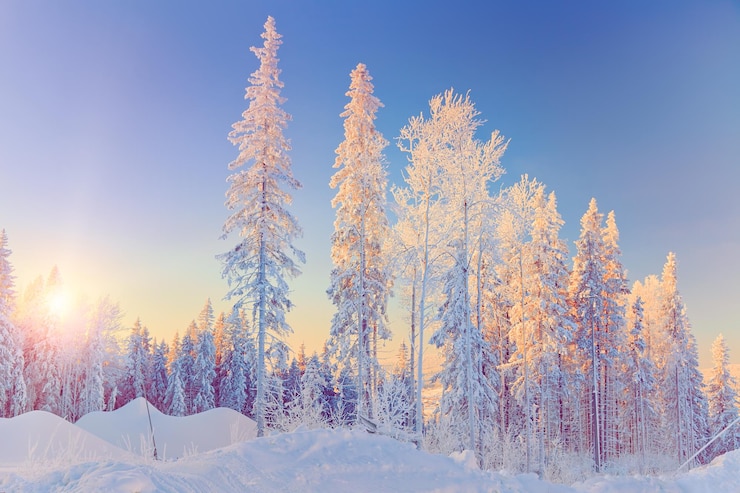 Bild winter landscape