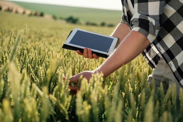 With digital tablet quality control Man in white shirt is on the agricultural field
