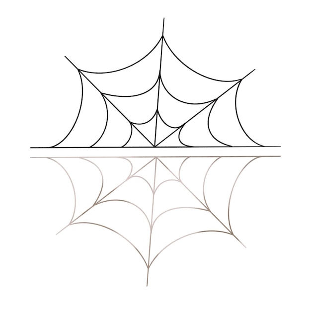 A beautifully intricate and stylish spider web design that embodies elegance and minimalism