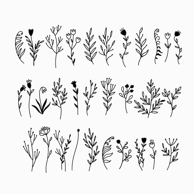 a collection of different plants and flowers including one that says  wild