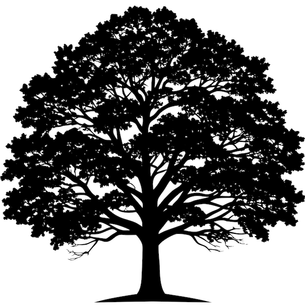 a tree with a black background that says  oak  on it