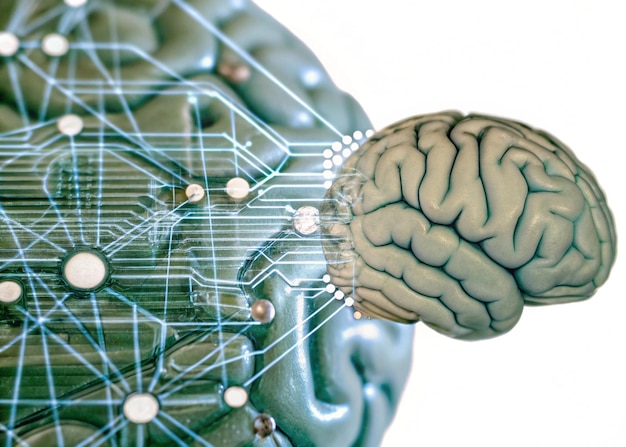 artificial intelligence neural network