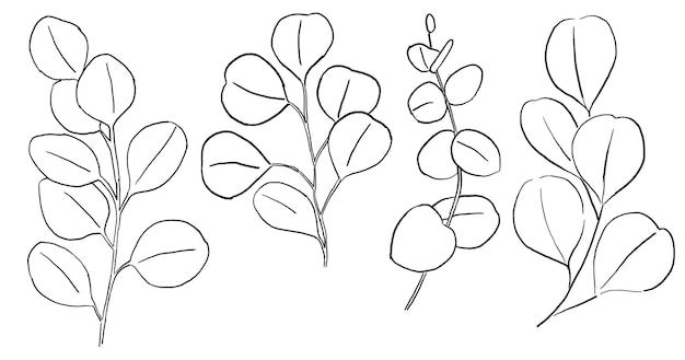 Black Outlines greenery eucalyptus branches and leaves hand drawn illustration isolated Elegant Element for wedding design greeting cards and crafting