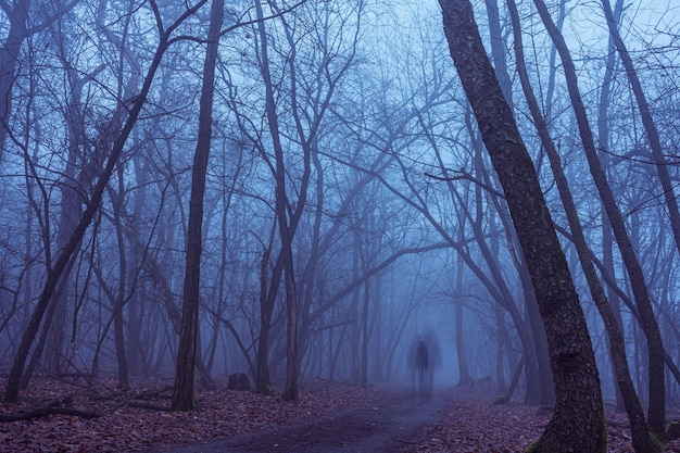 blurred motion of person walking amidst trees in forest at dusk