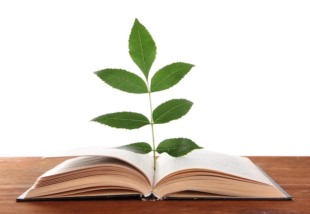 Book with plant on table on white background