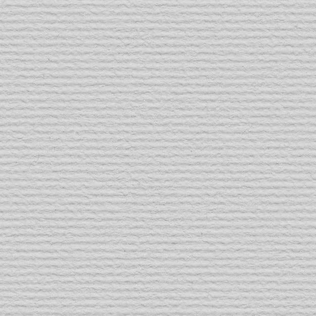 Close-up of a white paper texture