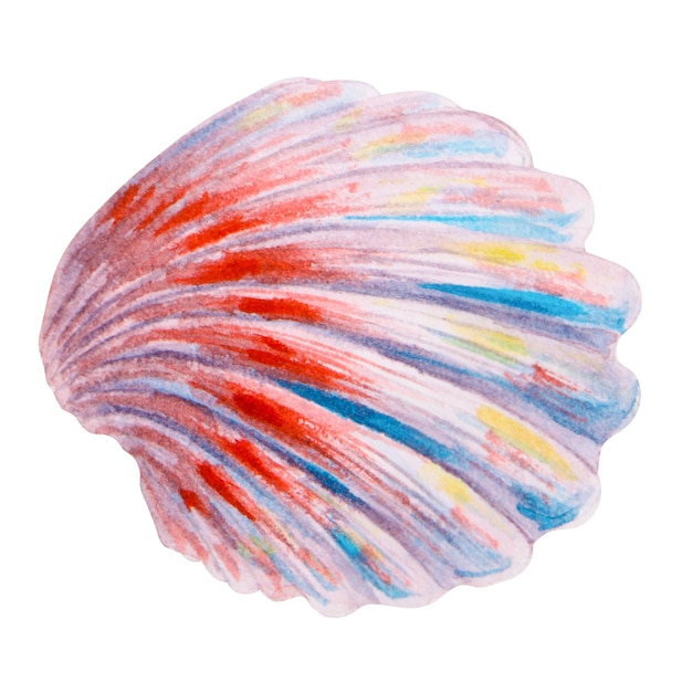 Colorful scallop seashell watercolor hand drawn marine illustration of a vibrant striped shell ideal