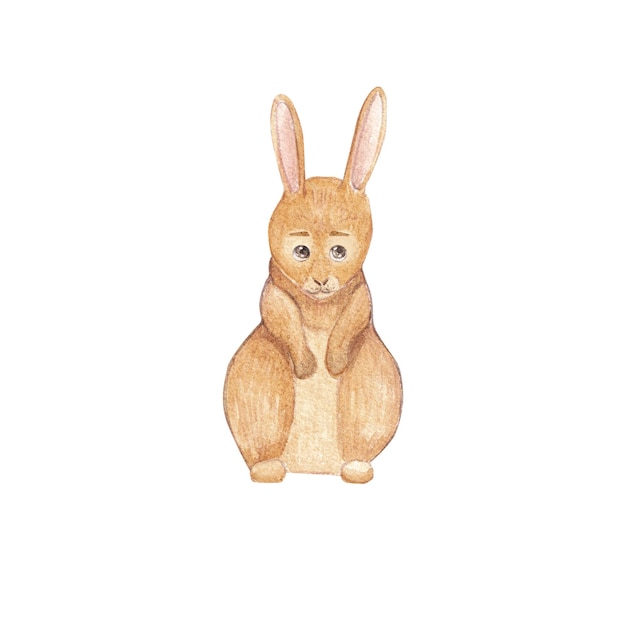 Cute rabbit watercolor on a white background children's illustration Card design Postcards and more