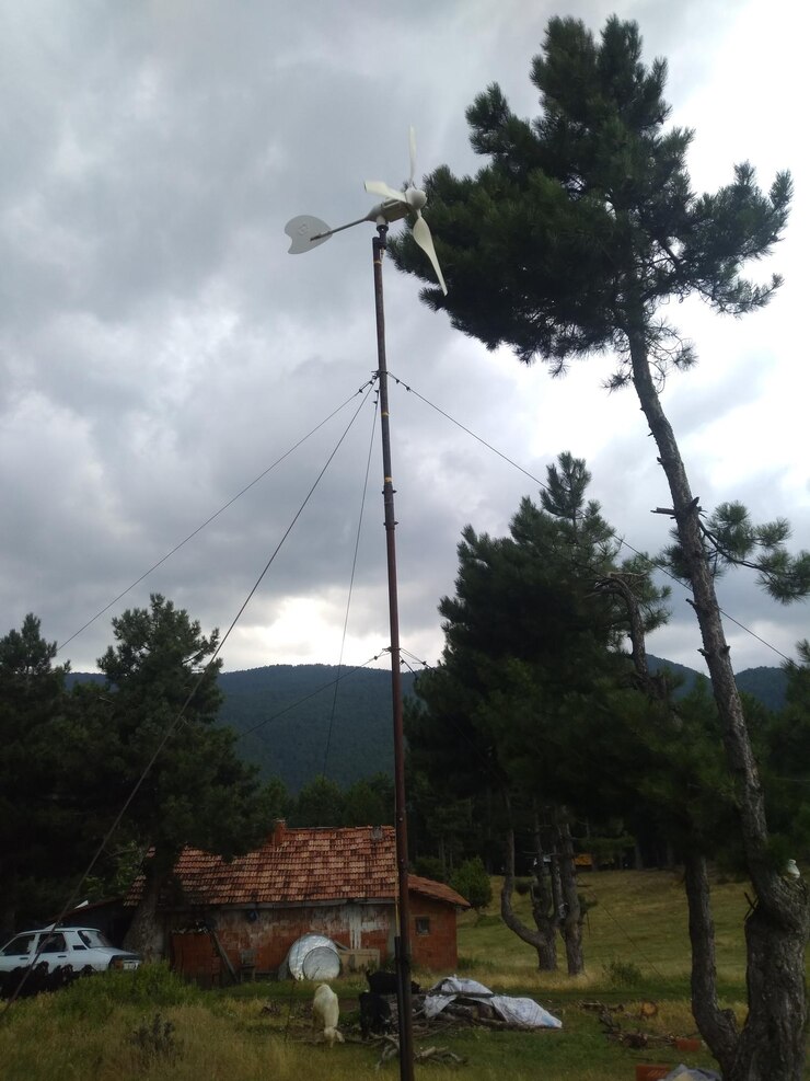 Fotoğraf gökyüzüne karşı tarladaki ağaçların düşük açıdan görünümü