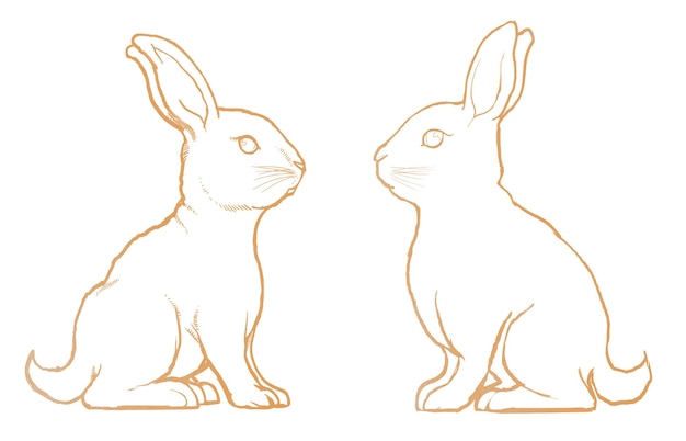 Gold rabbits png sticker Easter celebration animal in line art design transparent background